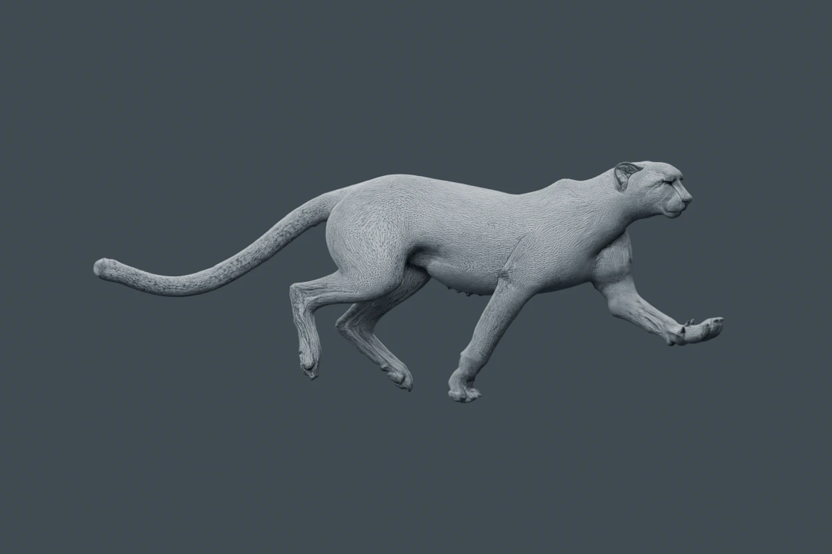 Acinonyx jubatus mesh with its triangle edges visible.