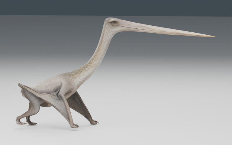 Preview of the reconstructed Quetzalcoatlus lawsoni model.