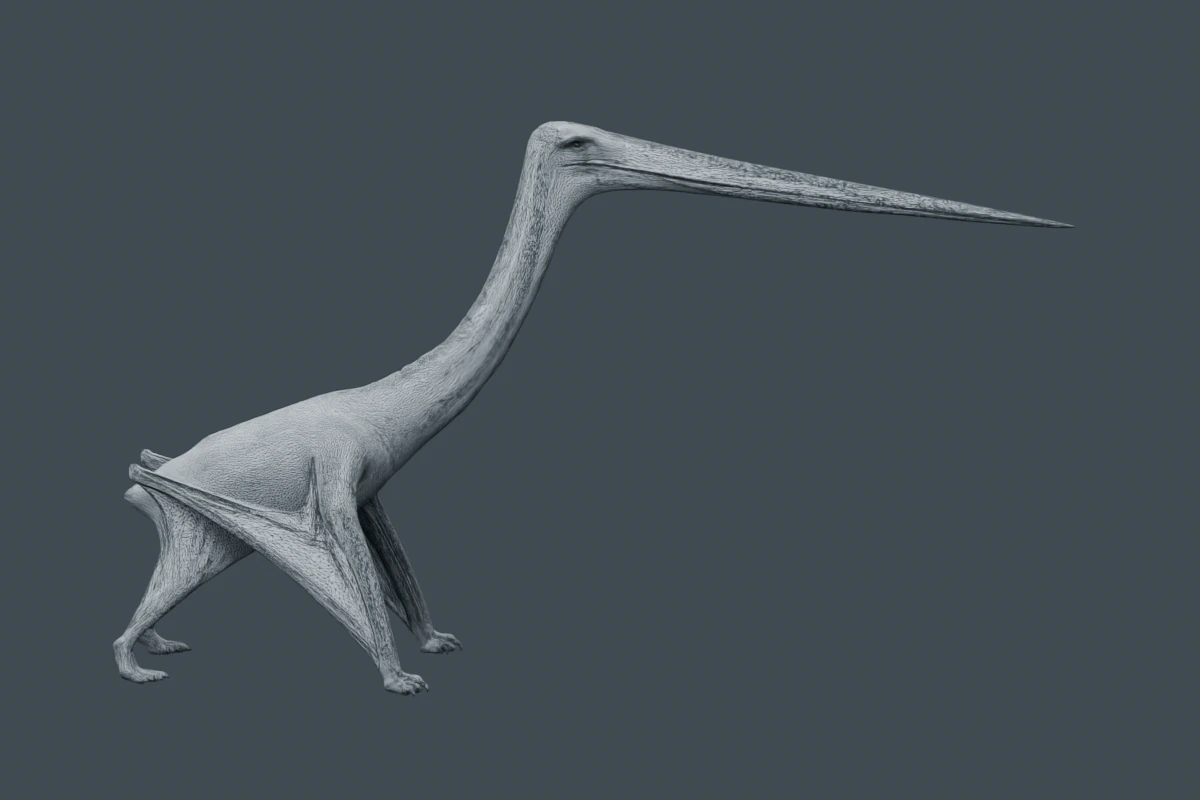 Quetzalcoatlus lawsoni mesh with its triangle edges visible.