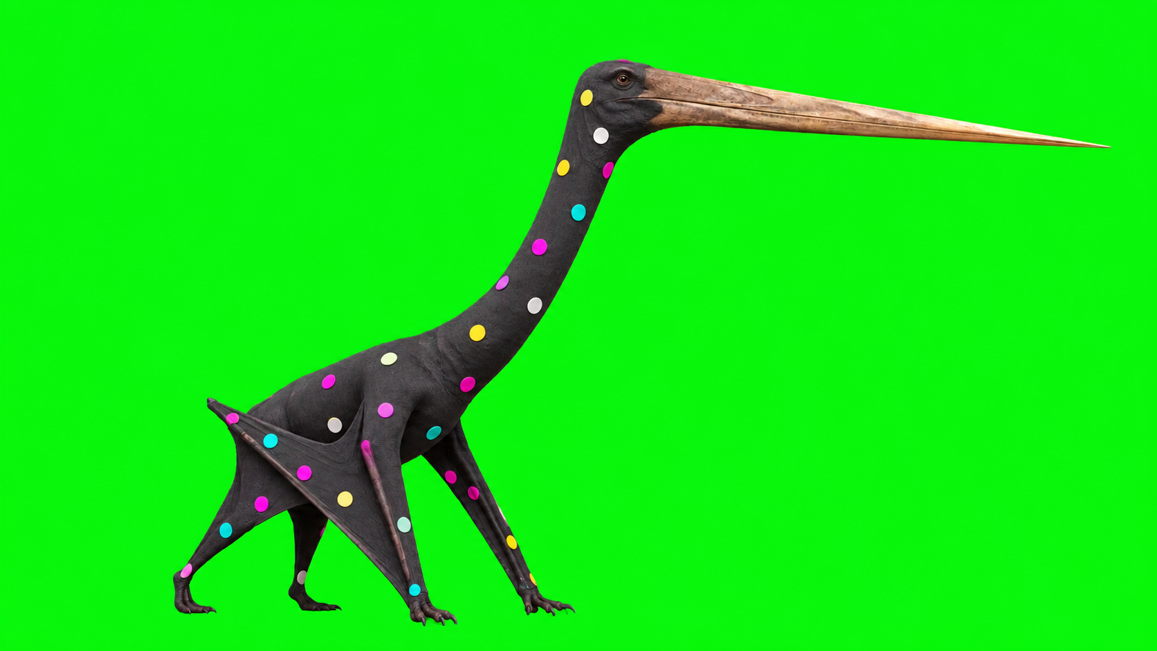 Quetzalcoatlus lawsoni with a fitted tracking suit and colored markers on green.